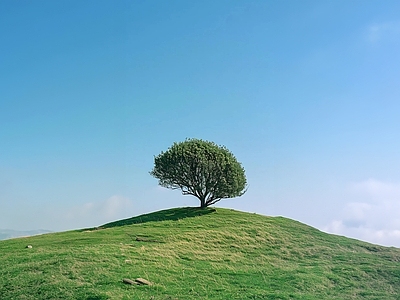 现代风景 山 草地 树 白天 天空