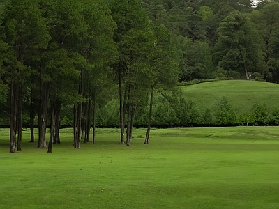 现代风景 公园 草坪 树林