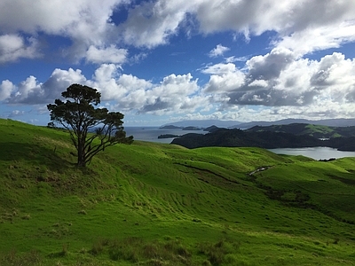 现代新中式风景 山 白天 草坪