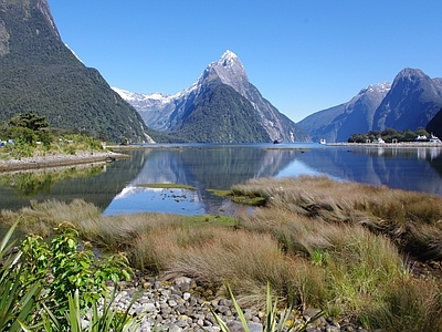 现代新中式风景 海洋 山 白天 花海