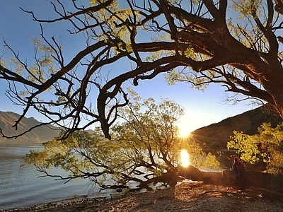 现代新中式风景 花海 夕阳 白天