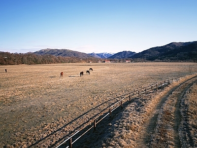 现代风景 农场 白天 远山