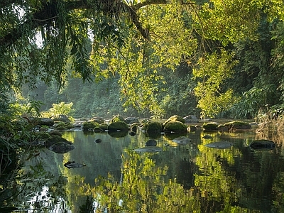 现代风景 户外 溪流 森林 外景