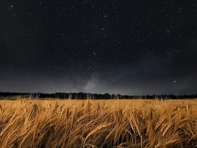 现代天空外景 夜晚天空 麦田