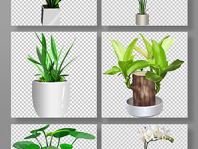 现代其它HDR 免抠植物绿植 免抠植物盆栽