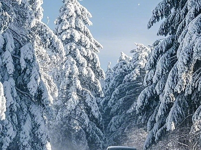 现代风景 冬天 雪地 汽车 森林 雪景