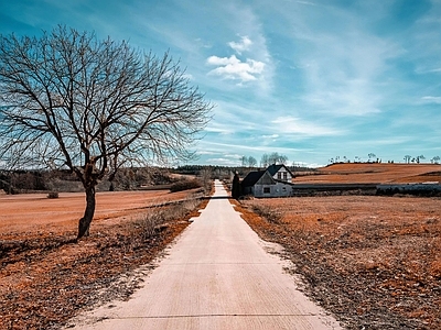 现代风景 农村 公路 白天