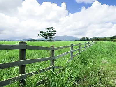 现代风景 草场 牧场 栅栏 白天