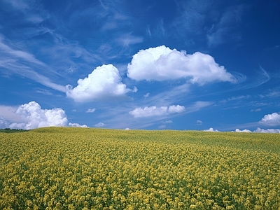 现代天空外景 白天天空 晴朗 农田