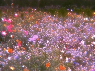 现代新中式风景 梦幻梦境浪漫壁纸 花园 花海 花镜 夕阳