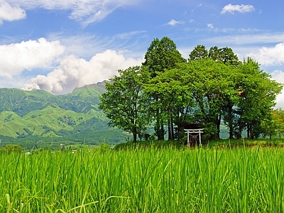 现代屏幕 户外风景