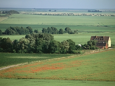 现代屏幕 户外风景