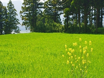 现代屏幕 户外风景