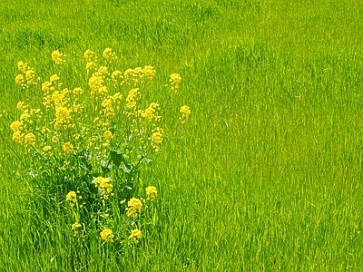 现代屏幕 户外风景