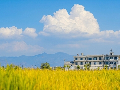 现代屏幕 户外风景