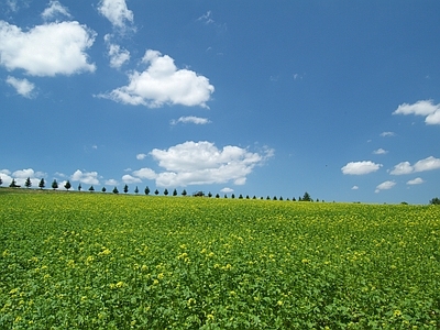 现代屏幕 户外风景