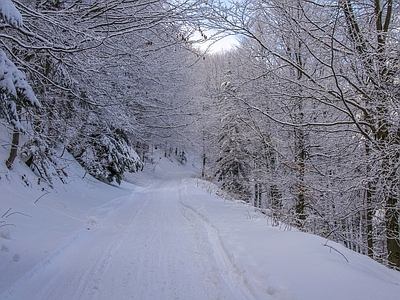 北欧风景 雪景