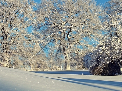 北欧风景 雪景