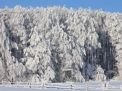 北欧风景 雪景