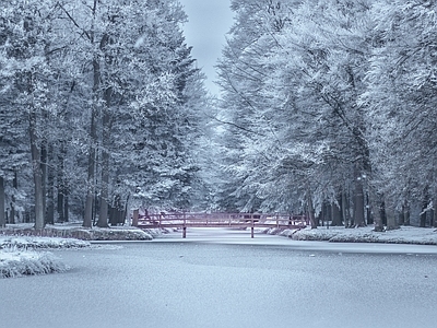 北欧风景 雪景