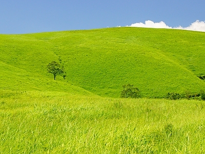 现代屏幕 户外草原风景壁纸