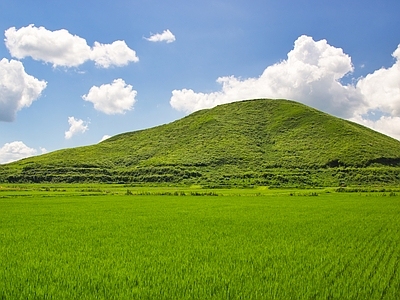 现代屏幕 户外草原风景壁纸