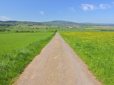 现代屏幕 户外草原风景壁纸 道路外景