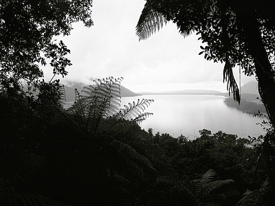 现代风景 茂林 森林 湖泊 远山