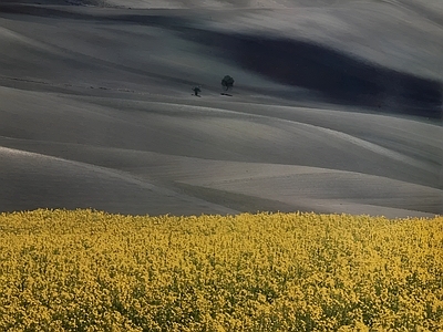 现代极简挂画 艺术挂画 山丘草原美景 风景画