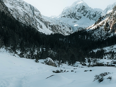 现代挂画 雪地风景