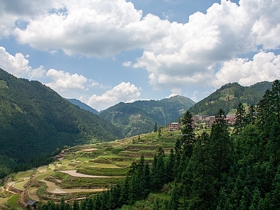 中式侘寂风景 梯田 大山 外景 蓝天白云 森林