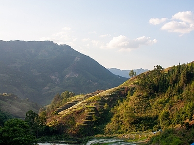 新中式现代风景 山 白天 梯田 森林 窗外景