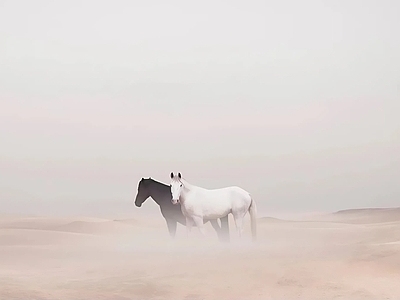 简约奶油挂画 艺术挂画 风景图