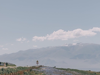 简欧简约风景 花园 农田 花海花境 外景风景背景 su背景素材