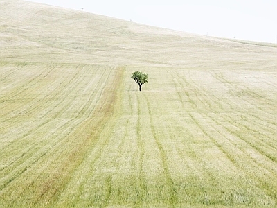 极简简约挂画 艺术挂画 风景画