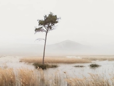 极简简约挂画 艺术挂画 风景画