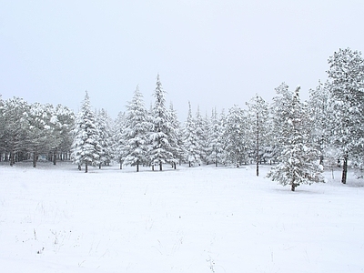 现代其它外景 窗外景 风景 雪景