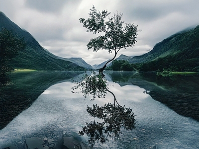 现代风景 山 湖泊 树