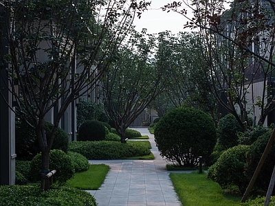 现代小区外景 小区园路道路甬路 小区景观设计 居住区道路 绿化植物景观 楼间景观设计