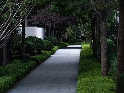 现代小区外景 小区道路 林荫道路 白天小区外景 花园外景 甬路