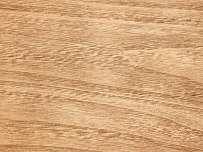 新中式美式年轮 切面年轮树干切面 原木切面木纹
