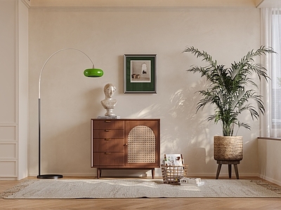 中古北欧斗柜 落地灯 绿植 五斗柜 边柜 矮柜