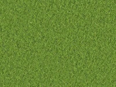 为您查找到"材质贴图草坪"共