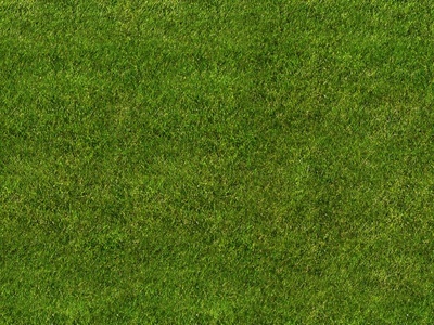 草皮高清贴图素材