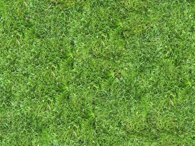 为您查找到"护坡植物贴图"共