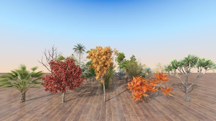 现代室外25棵精品树木组合 景观树 鸟瞰树 行道树 庭院树 四季树3d