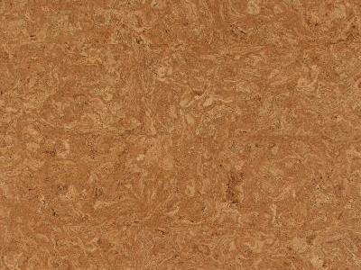 高清常用软木饰面