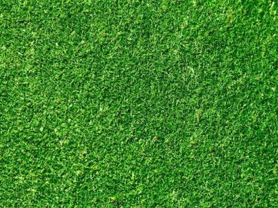 草地 高清材质贴图草坪 草皮 地被植物 足球场 门球场草地草坪贴图