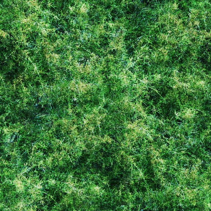 其他杂项-植物纹理 058贴图贴图下载_其他杂项-植物纹理 058贴图材质