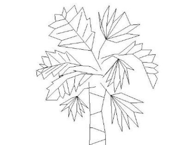 cad植物图例柏树免费